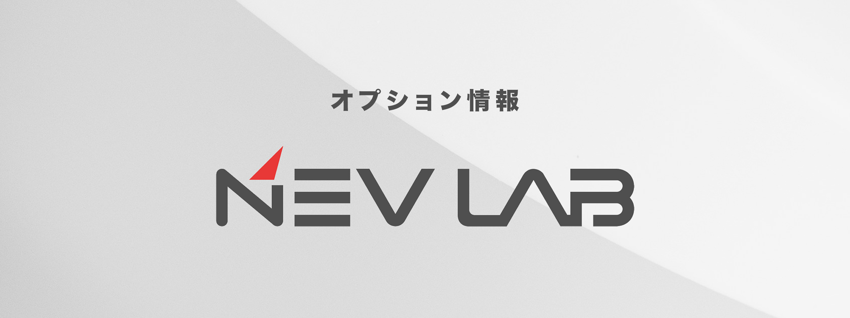 オプション情報
